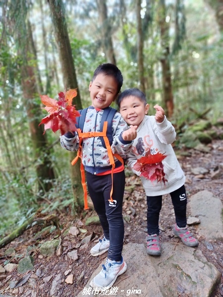 20211127_141157.jpg 20211127_141157.jpg