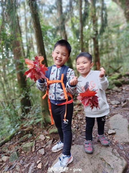 【台中和平】大手牽小手健行趣。No39小百岳稍來山