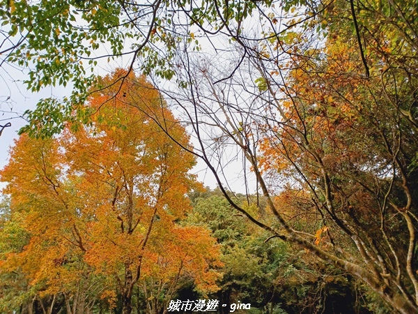 20211127_143946.jpg 20211127_143946.jpg