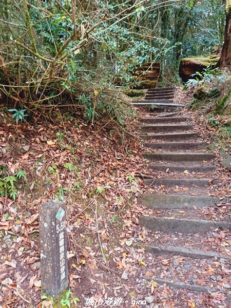 20211127_143941.jpg 20211127_143941.jpg