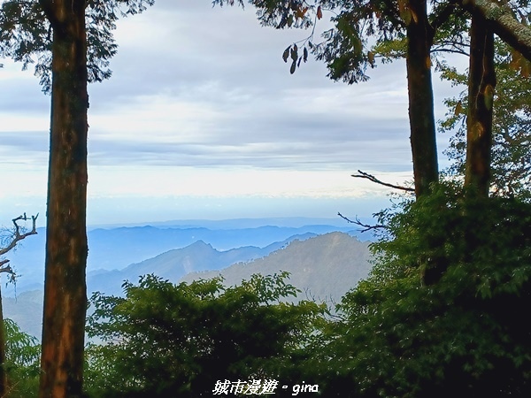 【台中和平】大手牽小手健行趣。No39小百岳稍來山