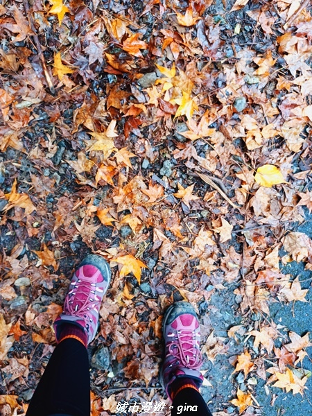 20211127_144049.jpg 20211127_144049.jpg