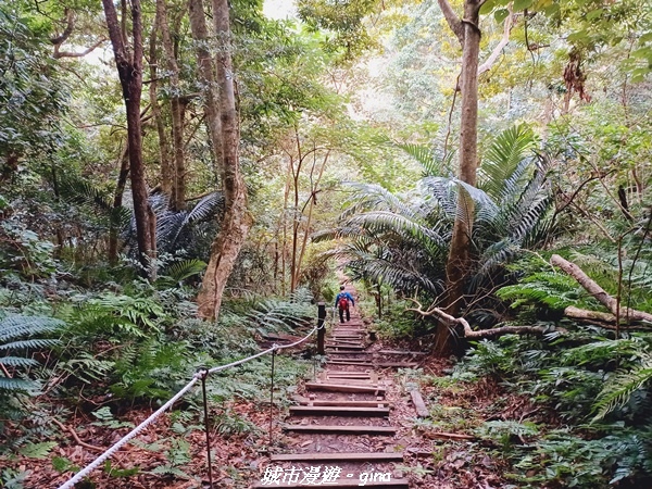 【新竹北埔】怡然悠靜。 No30小百岳-五指山