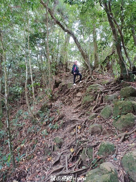 【新竹北埔】怡然悠靜。 No30小百岳-五指山