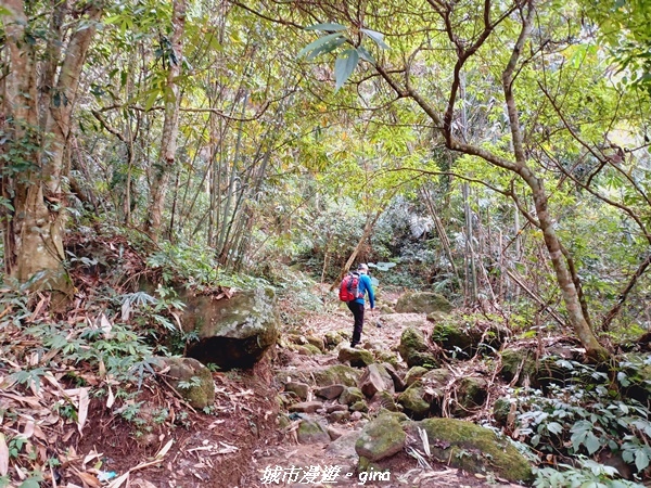 【新竹北埔】怡然悠靜。 No30小百岳-五指山