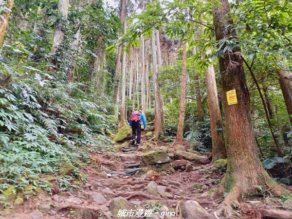 20211202_113305.jpg 20211202_113305.jpg