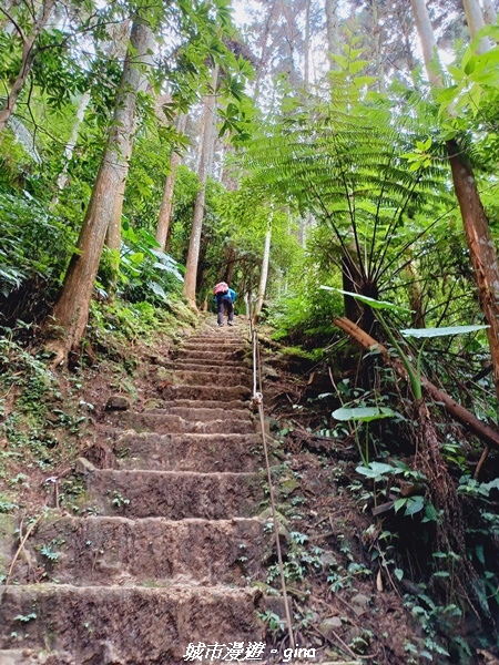 20211202_113450.jpg 20211202_113450.jpg