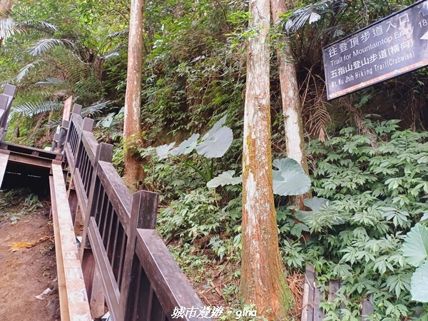 20211202_113713.jpg 20211202_113713.jpg