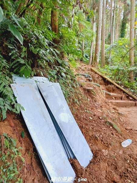 20211202_113554.jpg 20211202_113554.jpg