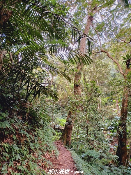 20211202_115324.jpg 20211202_115324.jpg