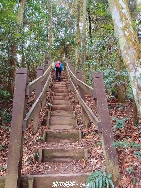 20211202_120218.jpg 20211202_120218.jpg