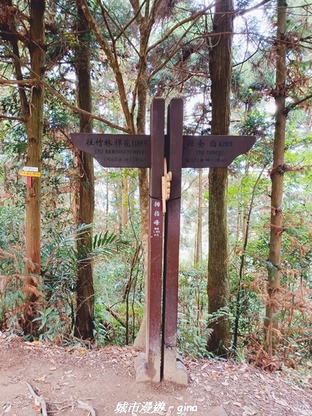 20211202_122537.jpg 20211202_122537.jpg