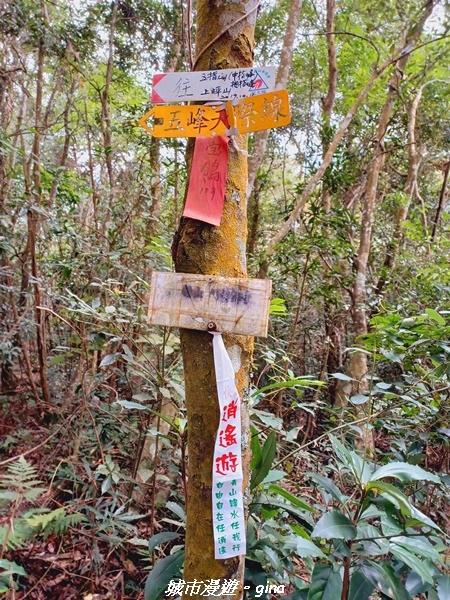 20211202_120825.jpg 20211202_120825.jpg