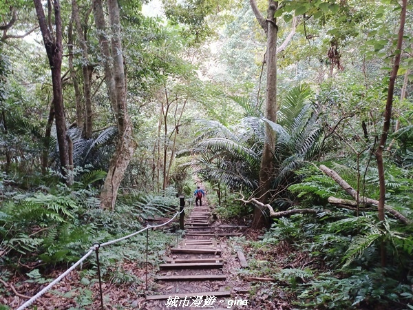 20211202_122901.jpg 20211202_122901.jpg