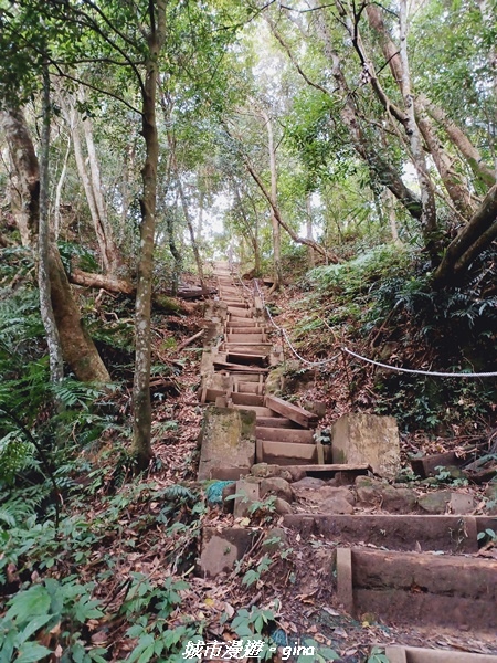 【新竹北埔】怡然悠靜。 No30小百岳-五指山