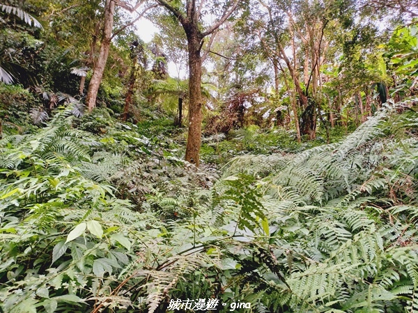 20211202_123132.jpg 20211202_123132.jpg