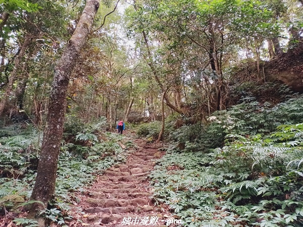 【新竹北埔】怡然悠靜。 No30小百岳-五指山