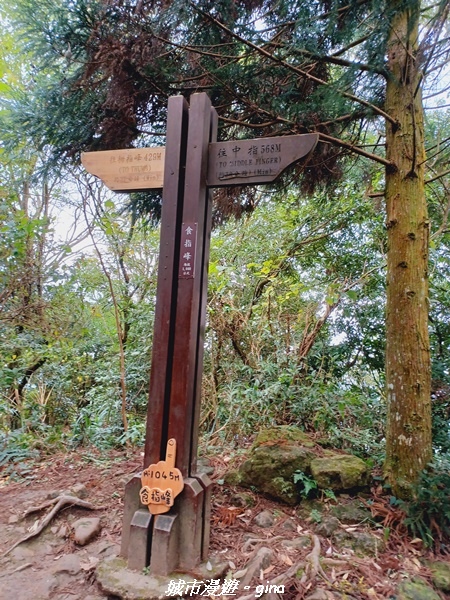 20211202_124425.jpg 20211202_124425.jpg