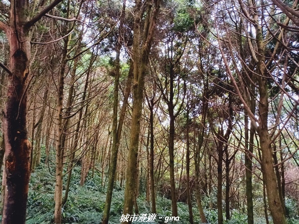 20211202_125844.jpg 20211202_125844.jpg