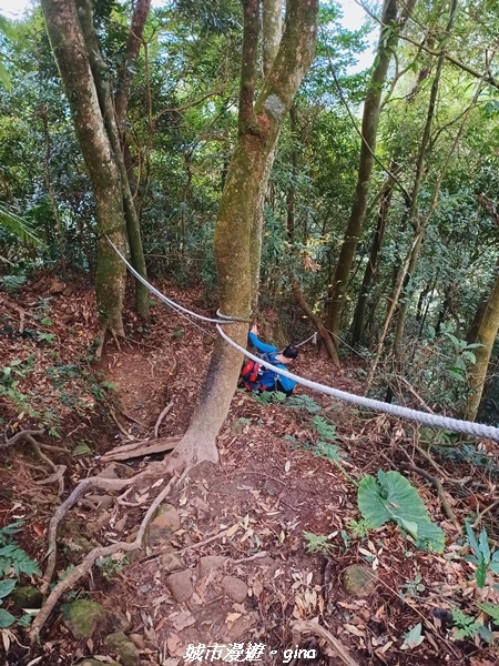 【新竹北埔】怡然悠靜。 No30小百岳-五指山