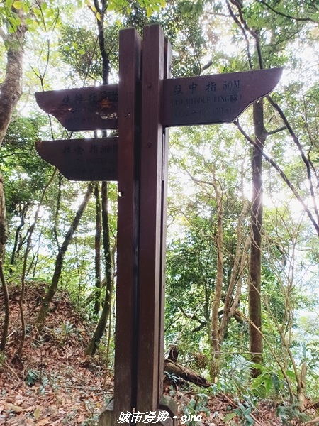 20211202_130328.jpg 20211202_130328.jpg