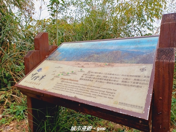 20211202_130611.jpg 20211202_130611.jpg