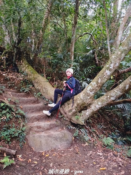 20211202_143418.jpg 20211202_143418.jpg