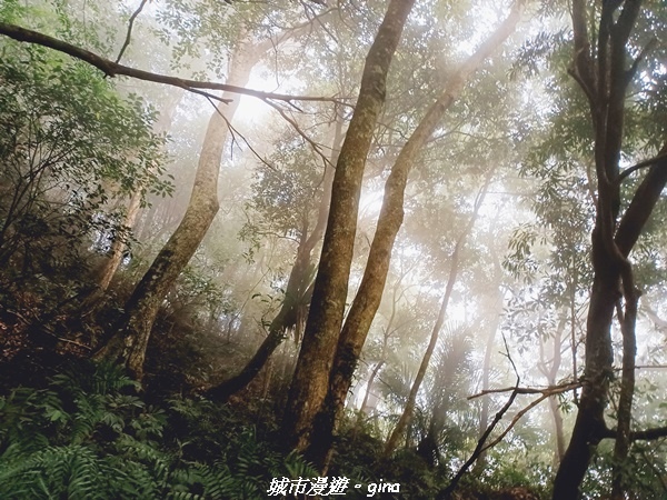 20211202_141641.jpg 20211202_141641.jpg