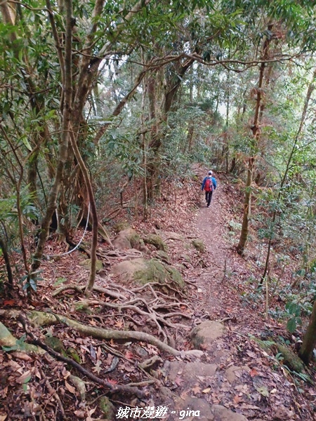 【新竹北埔】怡然悠靜。 No30小百岳-五指山