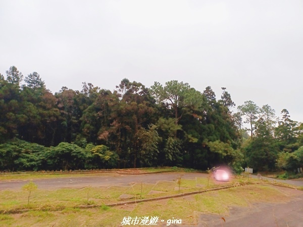 20211202_150324.jpg 20211202_150324.jpg