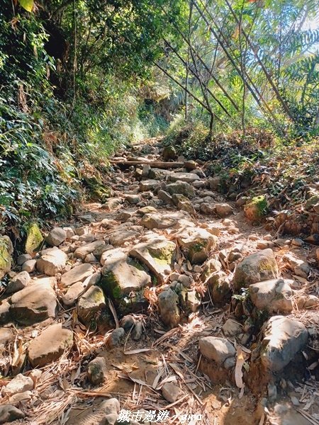 【台南白河】在虐腳的石坡路奮力前進。 小百岳集起來。  No