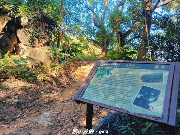 【台南白河】在虐腳的石坡路奮力前進。 小百岳集起來。  No