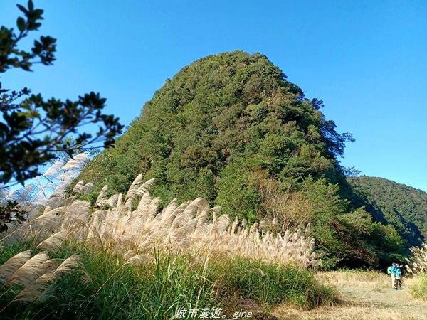 【新北新店】 驚險的陡峭崖梯。 No20小百岳-獅仔頭山步道