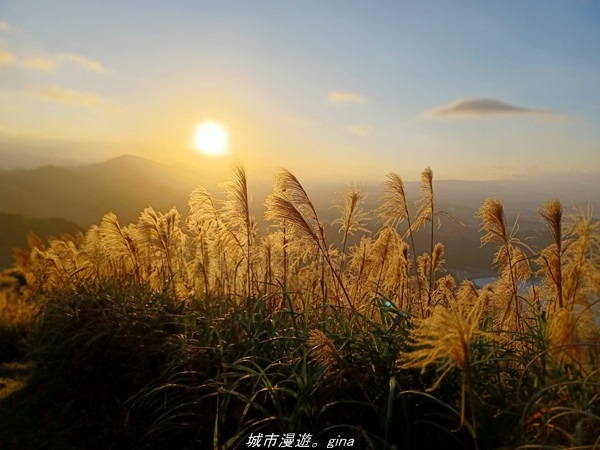 20211211_155503.jpg 20211211_155503.jpg