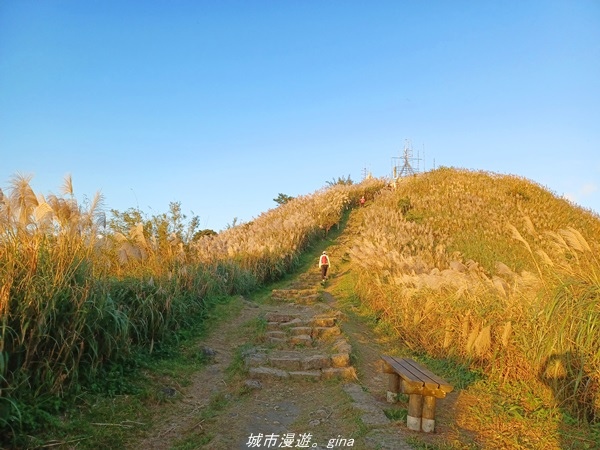 20211211_155500.jpg 20211211_155500.jpg