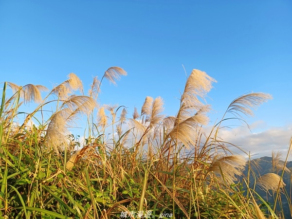 20211211_155505.jpg 20211211_155505.jpg