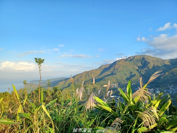 20211211_160805.jpg 20211211_160805.jpg