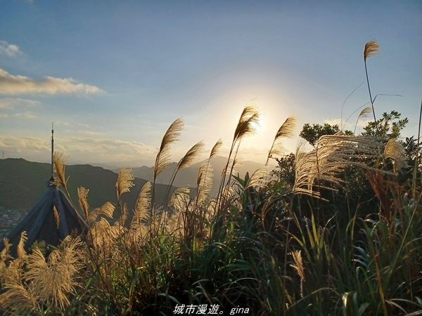 【新北瑞芳】直上階梯朝聖百萬夜景。 No6小百岳 基隆山步道