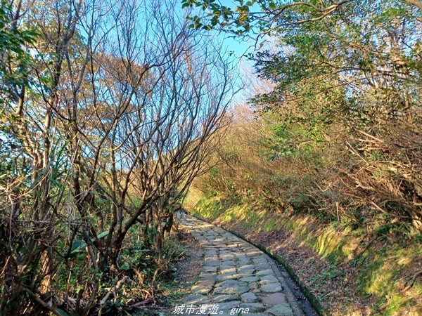 20211211_160129.jpg 20211211_160129.jpg