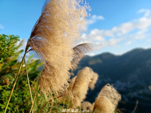 20211211_161659.jpg 20211211_161659.jpg