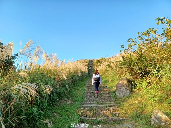 20211211_162101.jpg 20211211_162101.jpg