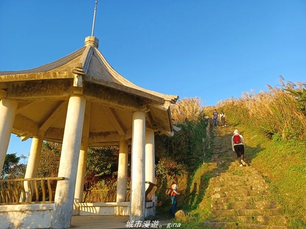 20211211_162950.jpg 20211211_162950.jpg