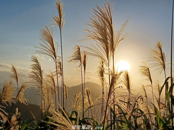 20211211_163050.jpg 20211211_163050.jpg