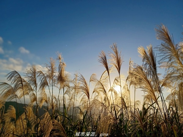 20211211_162208.jpg 20211211_162208.jpg