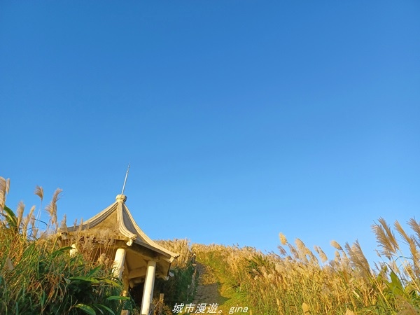 【新北瑞芳】直上階梯朝聖百萬夜景。 No6小百岳 基隆山步道