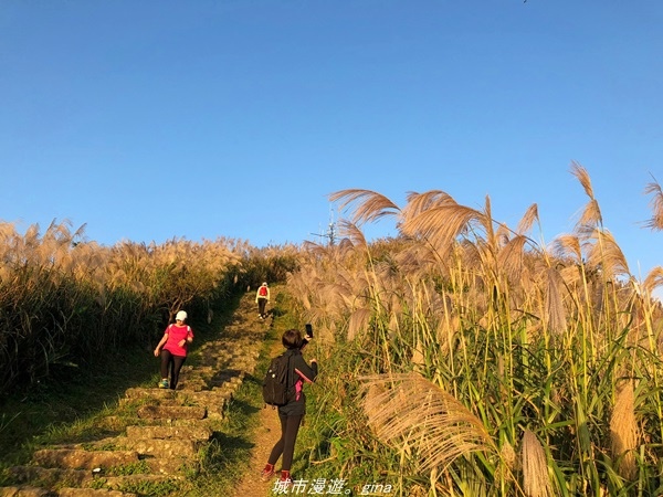 20211211_162951.jpg 20211211_162951.jpg