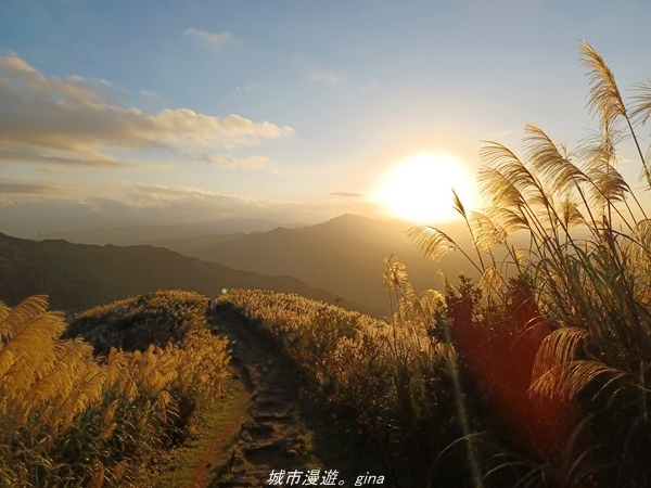 20211211_163950.jpg 20211211_163950.jpg