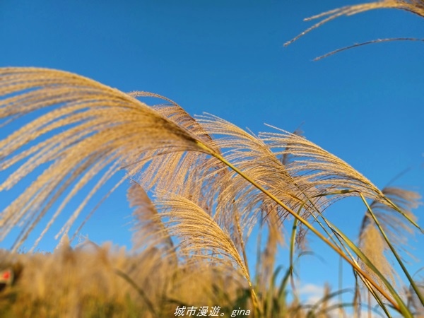 20211211_163831.jpg 20211211_163831.jpg