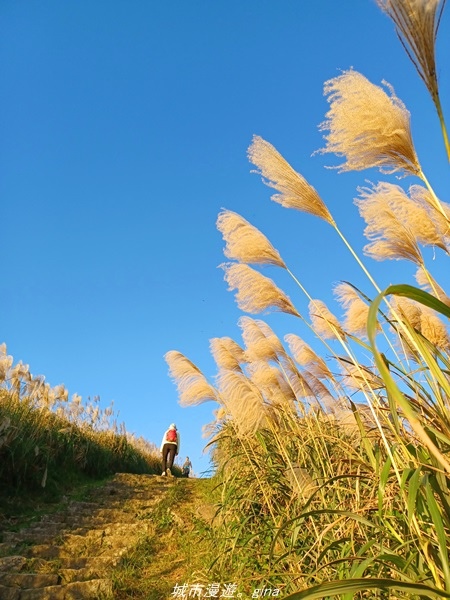 20211211_163306.jpg 20211211_163306.jpg