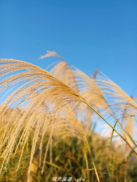 20211211_163826.jpg 20211211_163826.jpg